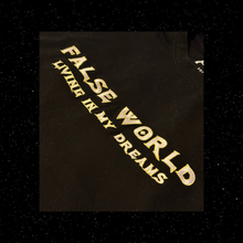 Load image into Gallery viewer, False World Living in my Dreams
